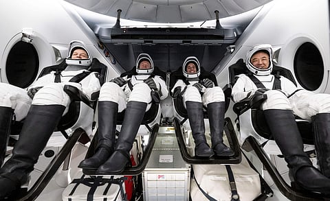 Astronautas que regressarem à Lua vão levar plantas e estudar como crescem sob radiação