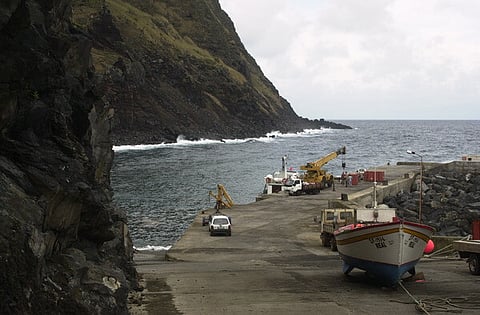 Portugal esgota quota de atum patudo e pesca fica proibida