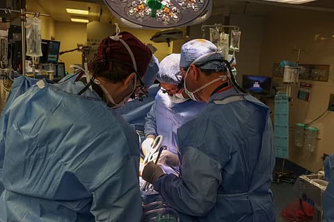 Primeiro paciente a receber um rim de porco em transplante teve alta hospitalar