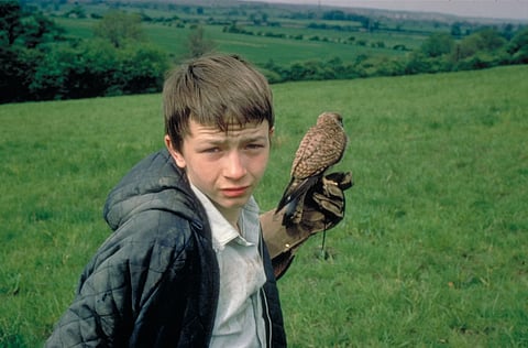 Kes (1969), uma das preciosidades dos primeiros dias da retrospetiva