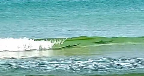 Praia na Flórida, EUA.