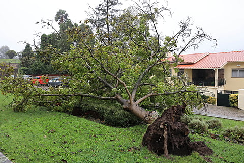 Cerca de 175 mil pessoas sem eletricidade, sobretudo a Norte