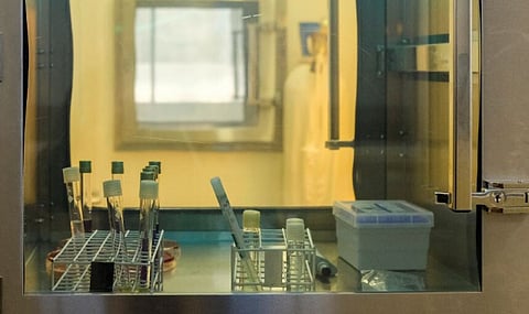 Três investigadores feridos após derrame de produtos químicos no Politécnico de Beja