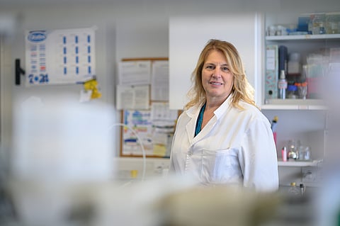 Luísa Peixe é docente e investigadora no Laboratório de Microbiologia da Faculdade de Farmácia da Universidade do Porto. -- Foto: Pedro Granadeiro/Global Imagens
