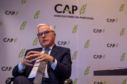 CAP: "Quem for contra a imigração, é contra o desenvolvimento do país"