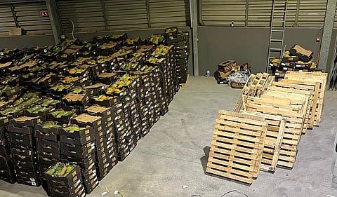 PJ desmantela grupo que introduzia cocaína na Europa e apreende 251 quilos de droga