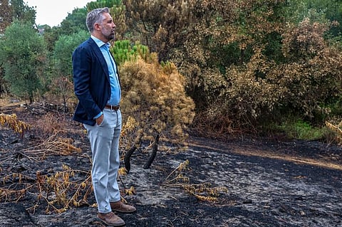 Pedro Nuno Santos, secretário-geral do PS
