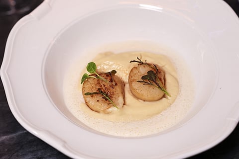 Receita de vieiras com puré de cherovia e molho de champanhe