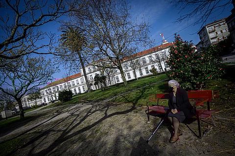 Está a decorrer a requalificação do Jardim Teófilo Braga/Praça da República. Foto: Pedro Granadeiro/Global Imagens