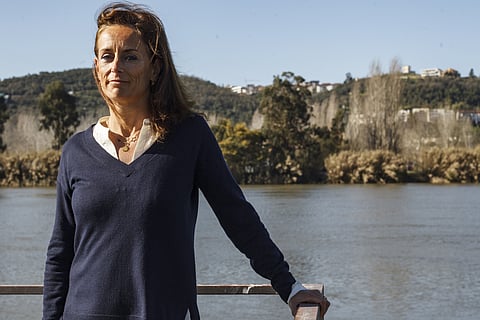 “A escassez de água está a ser resolvida muitas vezes da forma errada”, lamenta a investigadora Maria João Feio. --- Foto: Fernando Fontes/Global Imagens