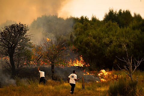Sete mortos, 166 feridos e 121 mil hectares de área ardida desde domingo