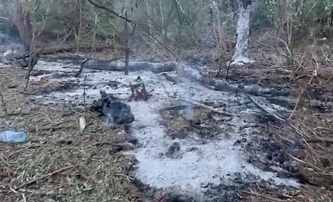 Roménia confirma restos de drones russos no sul do país