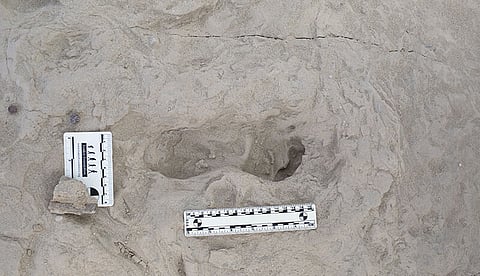 Descobertas pegadas de duas espécies de ancestrais humanos feitas na mesma altura e local