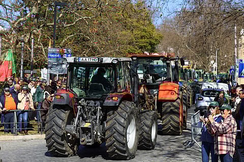 NUNO VEIGA/LUSA (Arquivo)