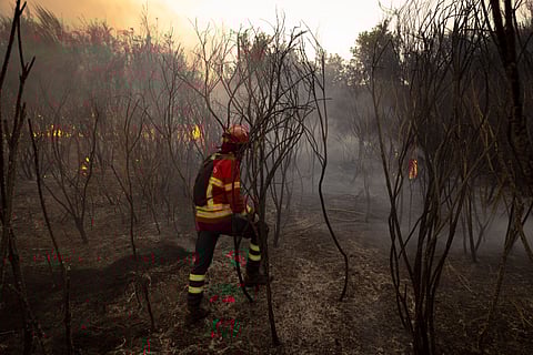 Bombeiro no incêndio em Raiz do Monte, Vila Pouca de Aguiar.