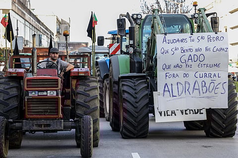 Agricultores. Manifestantes desmobilizam após garantia de que recebem apoios