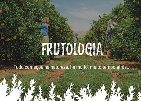 Diferendo sobre uso da palavra 'frutologia'. Tribunal dá razão à  Sumol+Compal