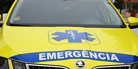 Homem morre atingido por ramo de árvore na Murtosa em dia de aniversário