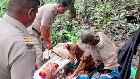 Mistério à volta de uma mulher encontrada acorrentada numa árvore na Índia