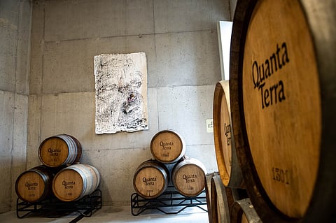 Aqui o vinho convive com a cultura