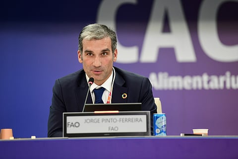 Português Jorge Pinto Ferreira é um especialista em segurança alimentar ao serviço da FAO, agência da ONU para a Alimentação e Agricultura