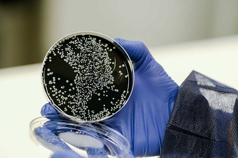 Teste de legionella. Gerardo Santos / Global Imagens (Arquivo)