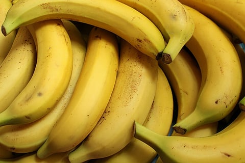 Bananas banidas onde quer que ministra vá devido a "fobia mais estranha do mundo"
