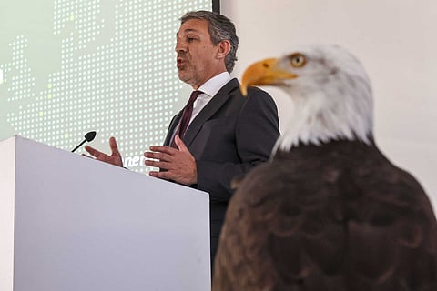 Luís Mendes era o responsável pela área financeira do Benfica.