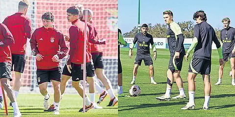 João Neves e Gyökeres são armas de águias e leões para vencer na Europa.