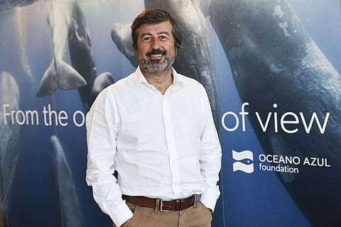 Tiago Pitta e Cunha é o presidente da comissão executiva da Fundação Oceano Azul.