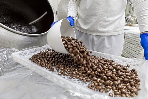 Os portugueses têm “uma forte relação emocional” com a Regina, marca que comemora 100 anos em 2027.