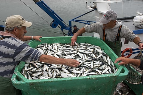 Trabalhadores da Pesca do Centro exigem mais investimento na segurança