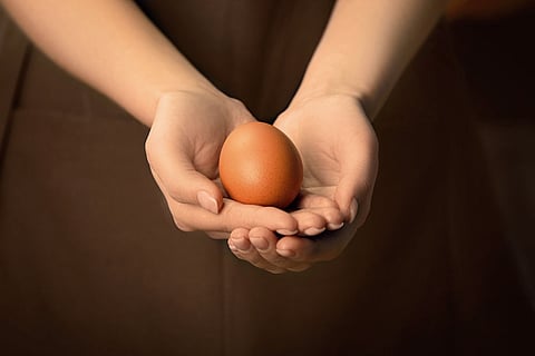 Sim, as galinhas têm orelhas e são elas que dão cor aos ovos