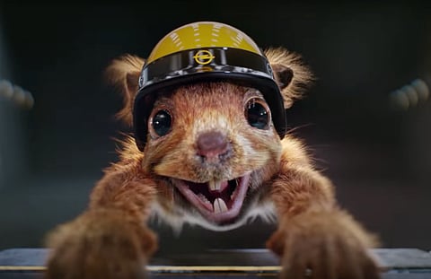 O sapo, o esquilo, o leão e o chimpanzé vão fazer ralis