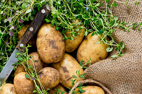 Esta é a forma mais fácil e rápida de descascar batatas