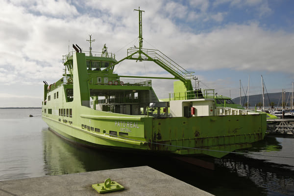 Maritime transport to reach 1.5 billion in revenue in 2025