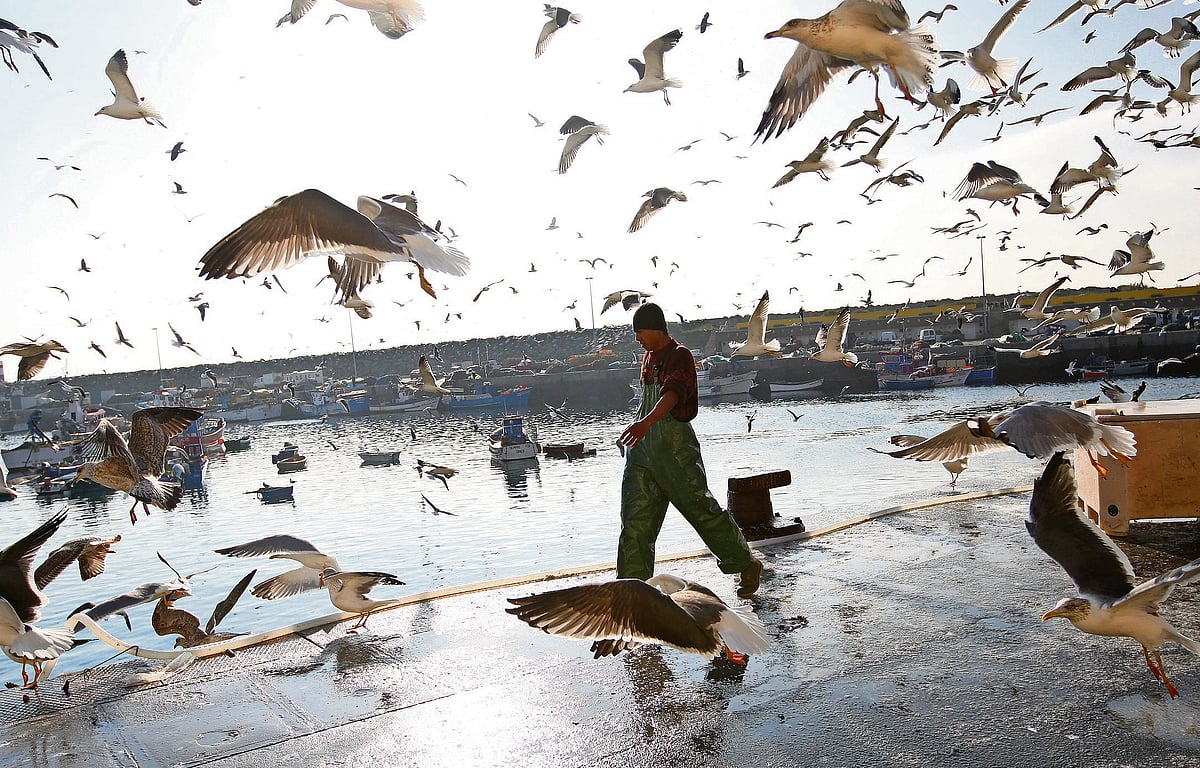 Government approves extension of support for agricultural diesel and fishermen