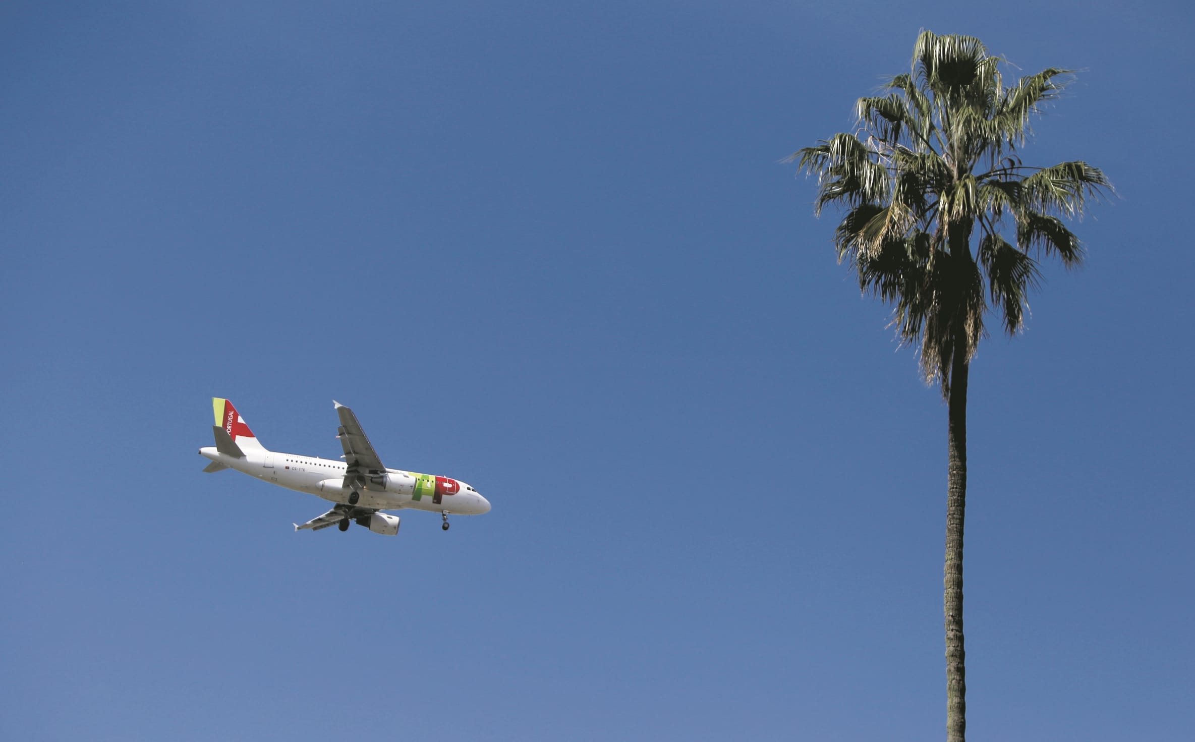 Government says aviation fuel supply is guaranteed until the peak of summer