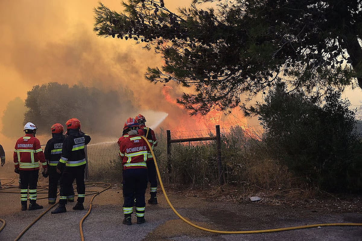 Fire in Arouca mobilises more than 100 personnel and six aerial assets