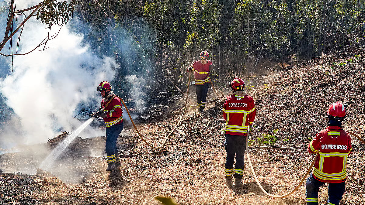 Arganil and Vila Nova de Poiares wildfire brought under control and in resolution phase