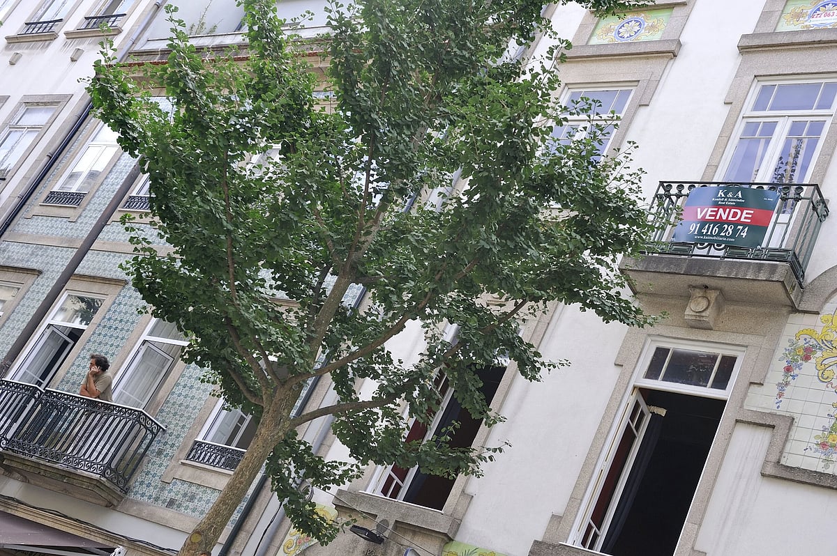 Lisbon luxury prices to rise up to 6% in 2026