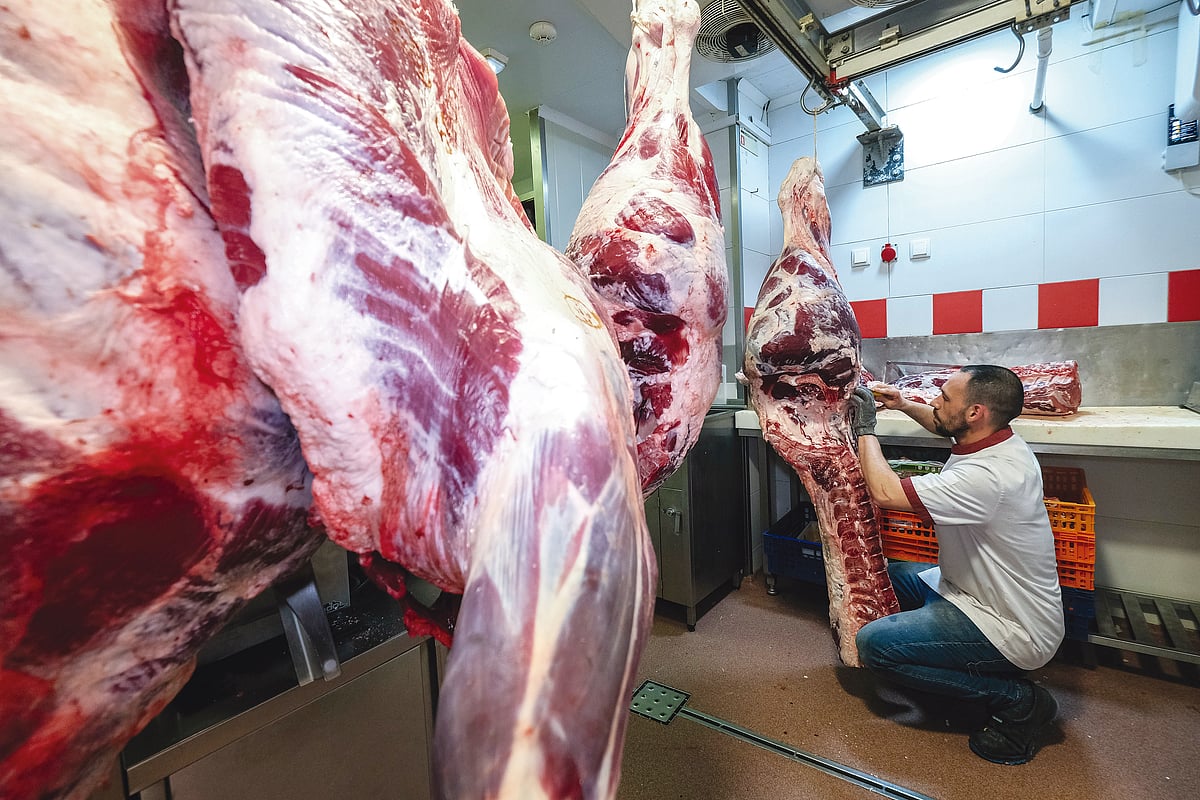 Empresários admitem risco do Brasil deixar de exportar carne para a UE