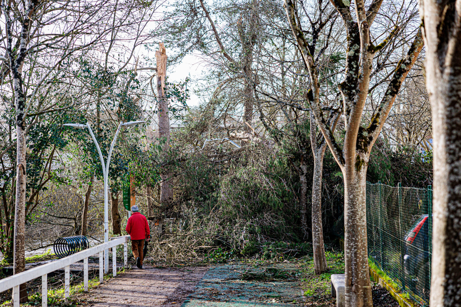 Over three thousand kilometres of forest paths cleared