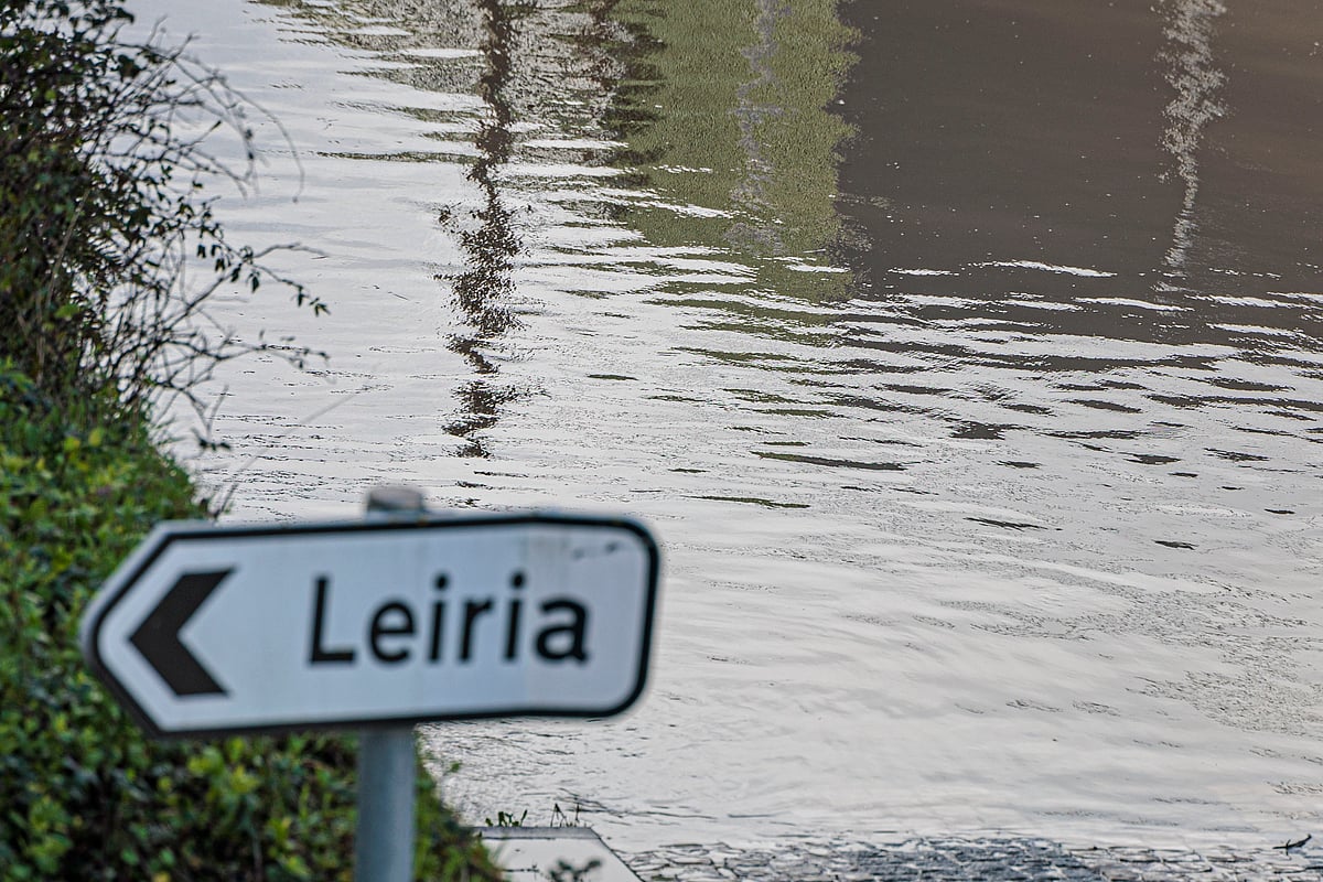 Bad weather: Leiria Municipality increases housing support