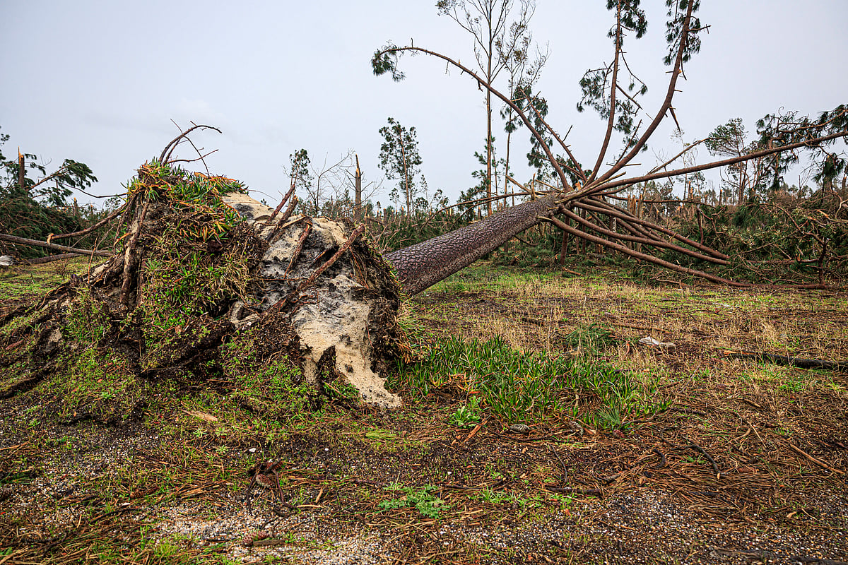 Marinha Grande increases damage estimate to 143 million euros