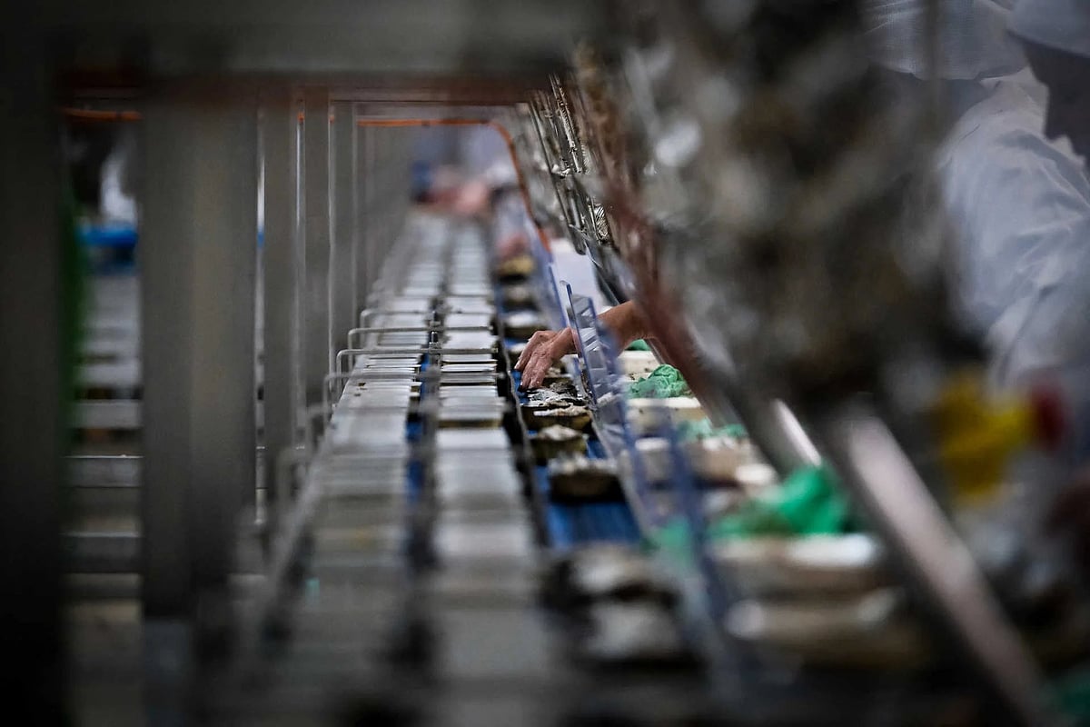 Companies recruit over‑55s amid labour shortage