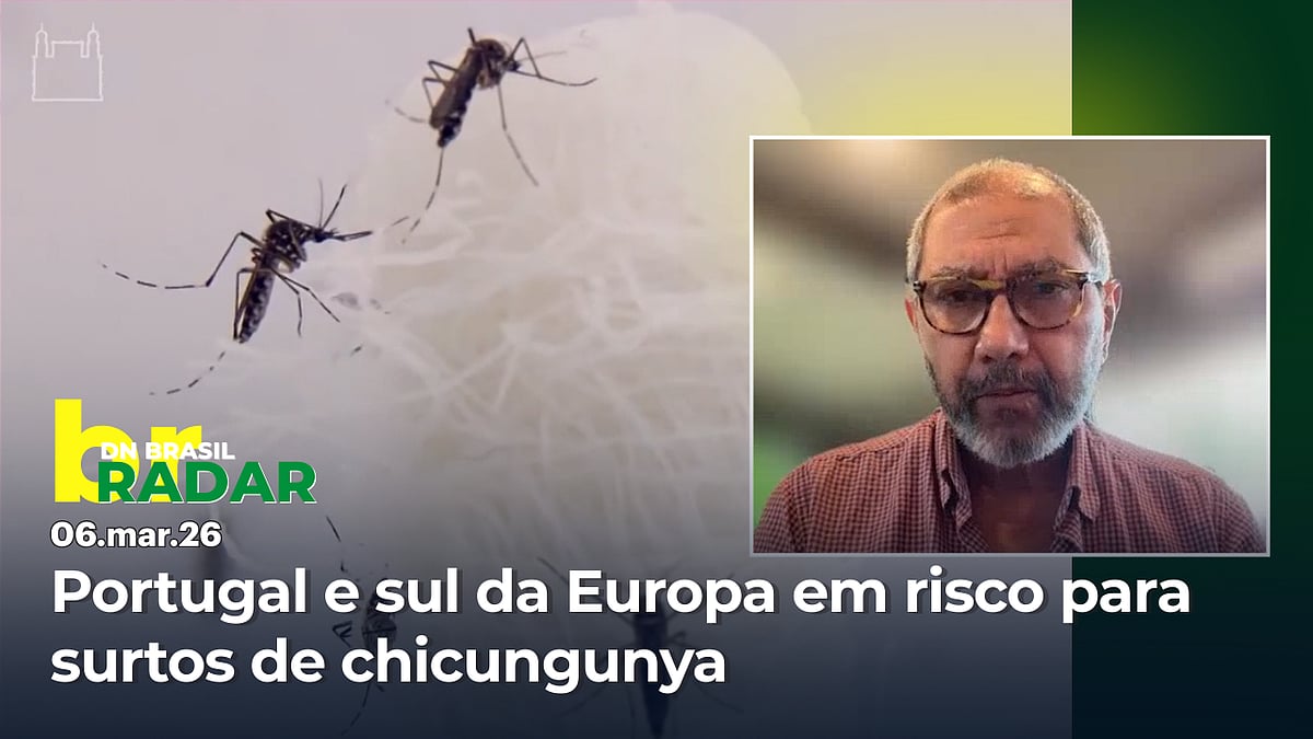 Fiocruz researcher explains alert about the risk of chikungunya outbreaks in Portugal and southern Europe