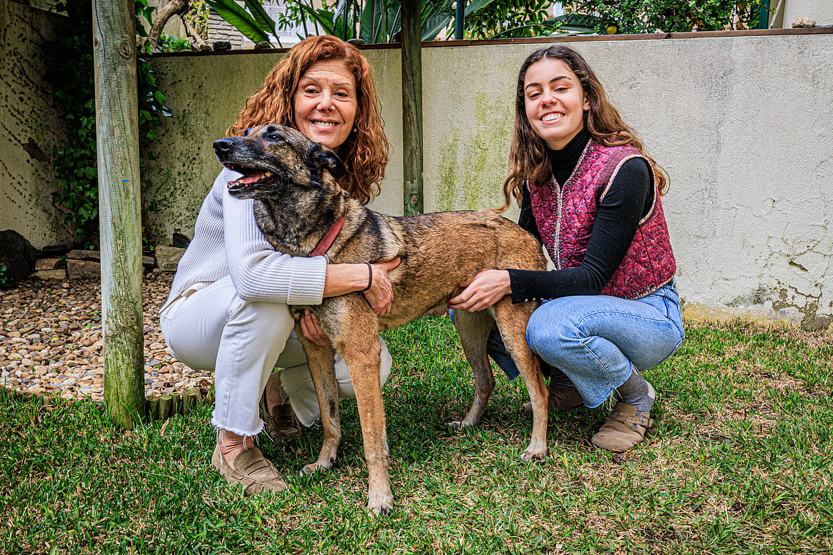 'Paratroopers', a 'saviour' of the missing, and an anti-drug 'detective': project encourages the adoption of retired police dogs