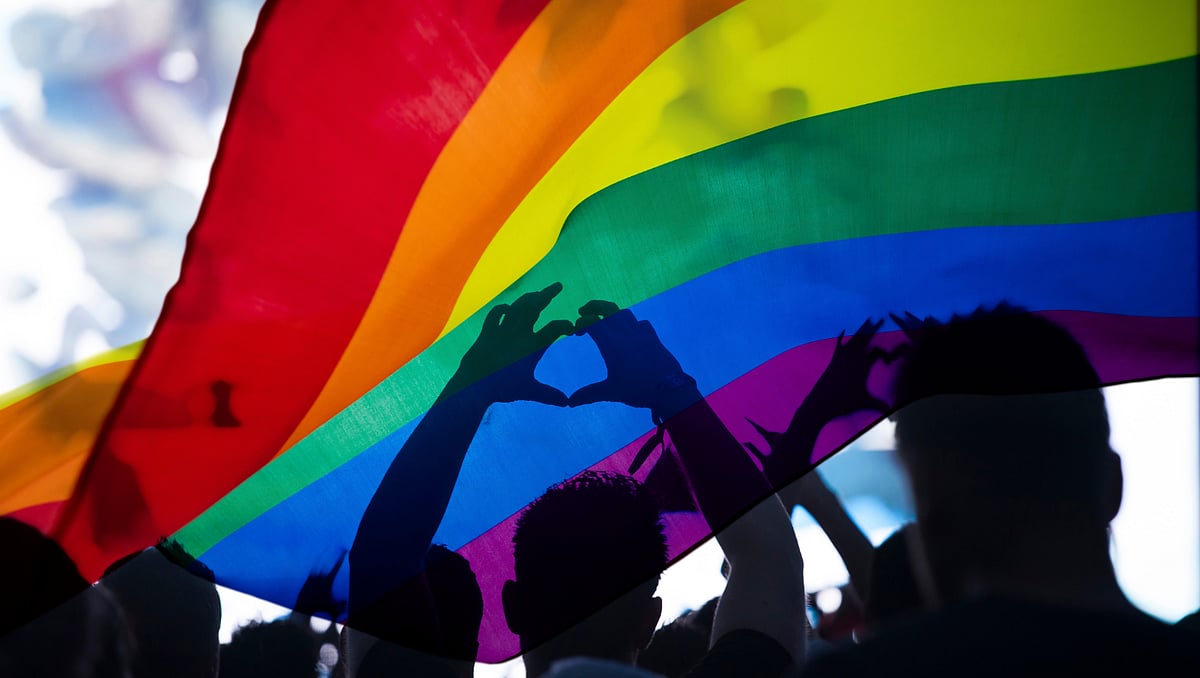 Bloco de Esquerda reports regression in trans rights to the UN following law approval