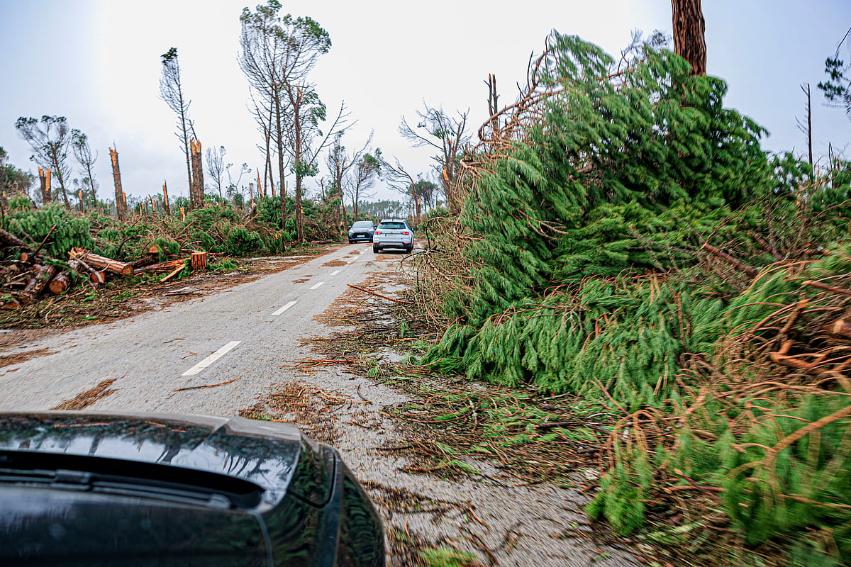 Bad weather. Meo says full restoration of fixed network is expected by April 30